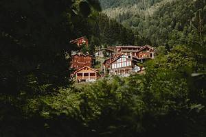 Red Houses Surrounded by Green Leafed Trees